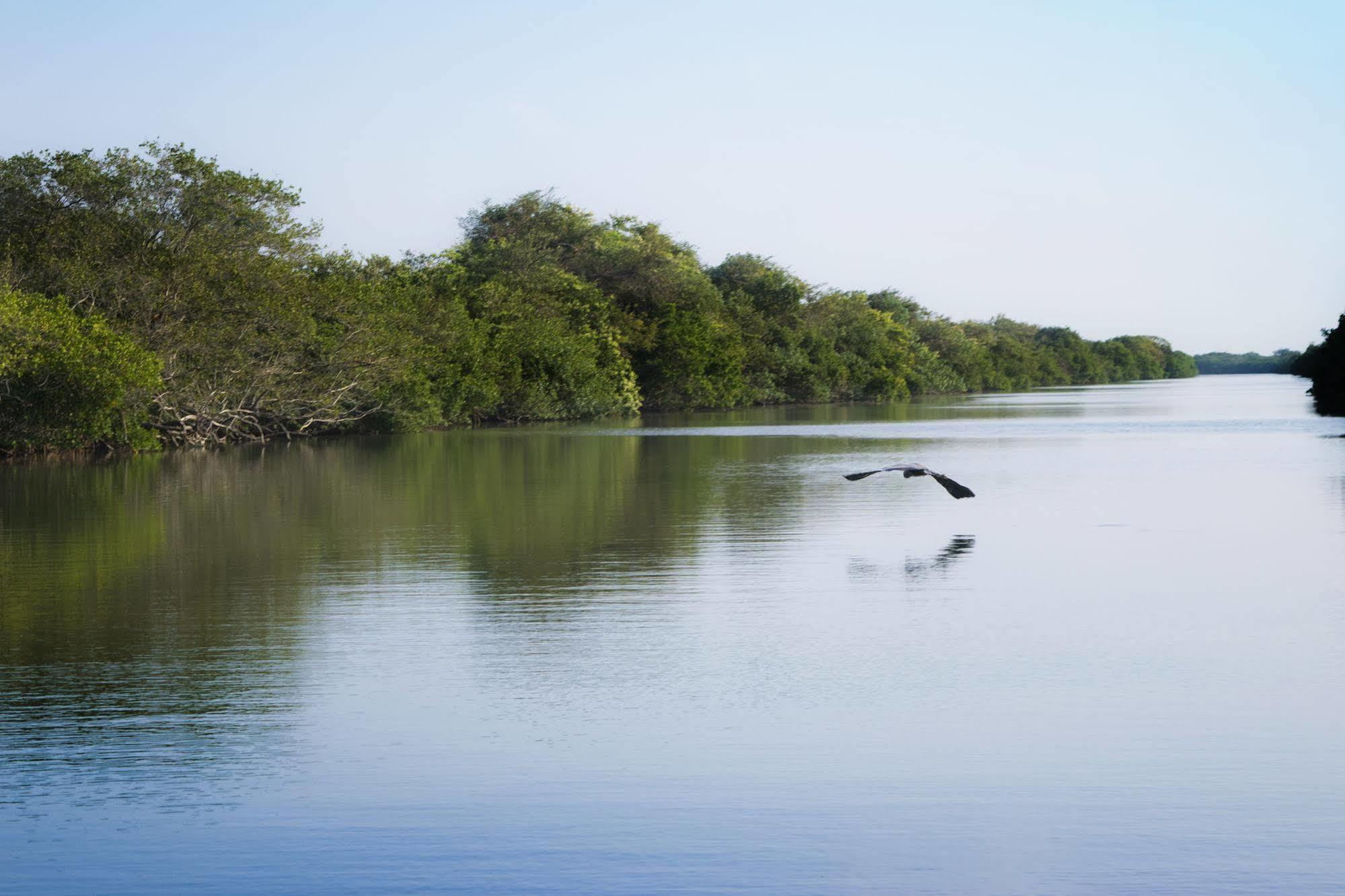 Hotel Isla Tajín Tuxpan  Exterior foto